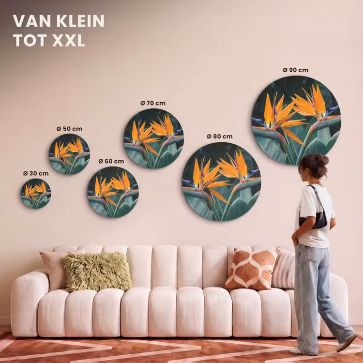Akoestisch schilderij rond - Paradijsvogel - Bloem - Exotisch — 7