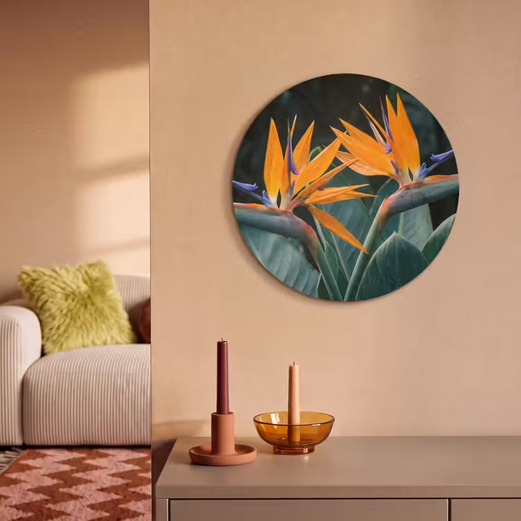 Akoestisch schilderij rond - Paradijsvogel - Bloem - Exotisch — 2