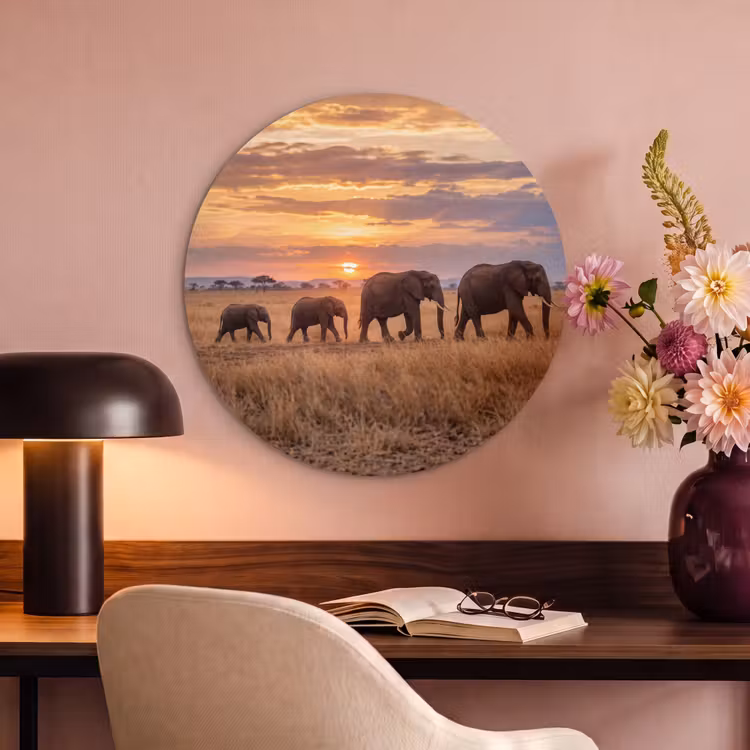 Akoestisch schilderij rond - Olifanten - Savanne - Zonsondergang - Afrika - Warm — 6