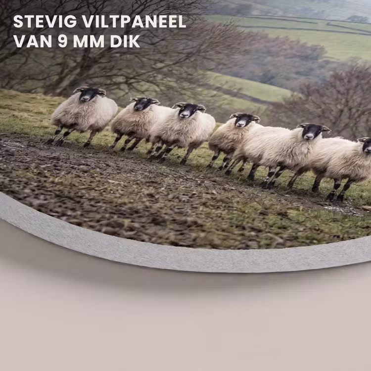 Akoestisch schilderij rond - Schapen - Rij - Weide - Dieren - Platteland — 5