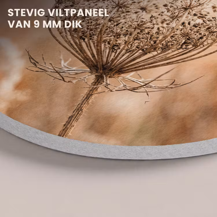 Akoestisch schilderij rond - Schermbloem - Droogbloem - Winter - Beige - Minimalistisch — 5