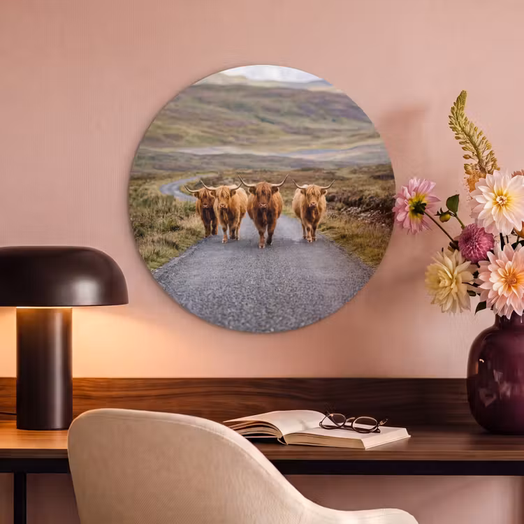 Akoestisch schilderij rond - Schotse Hooglanders - Weg - Landschap - Kudde — 6