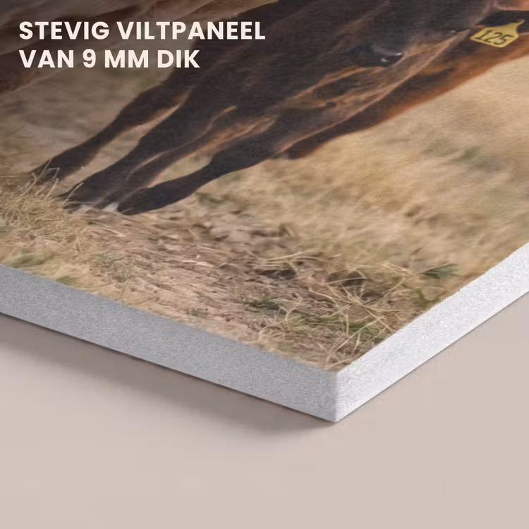 Akoestisch schilderij - Runderen - Kudde - Landschap - Weide - Rustig — 5