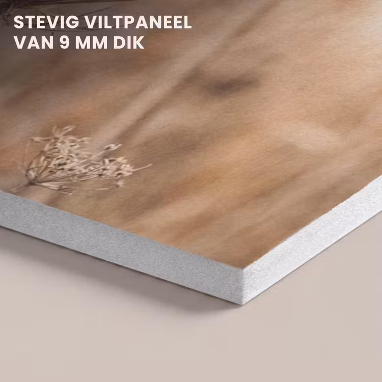 Akoestisch schilderij - Schermbloem - Droogbloem - Winter - Beige - Minimalistisch — 5