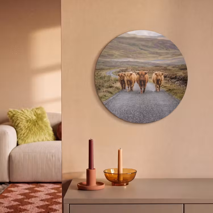 Akoestisch schilderij rond - Schotse Hooglanders - Weg - Landschap - Kudde — 2