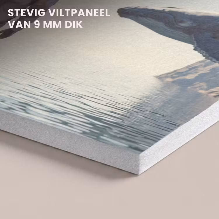Akoestisch schilderij - Ruimtevaarder - Walvis - Fantasie — 5
