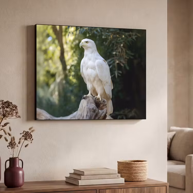 Art Frame - Arend - Hout - Wit - Planten — 7