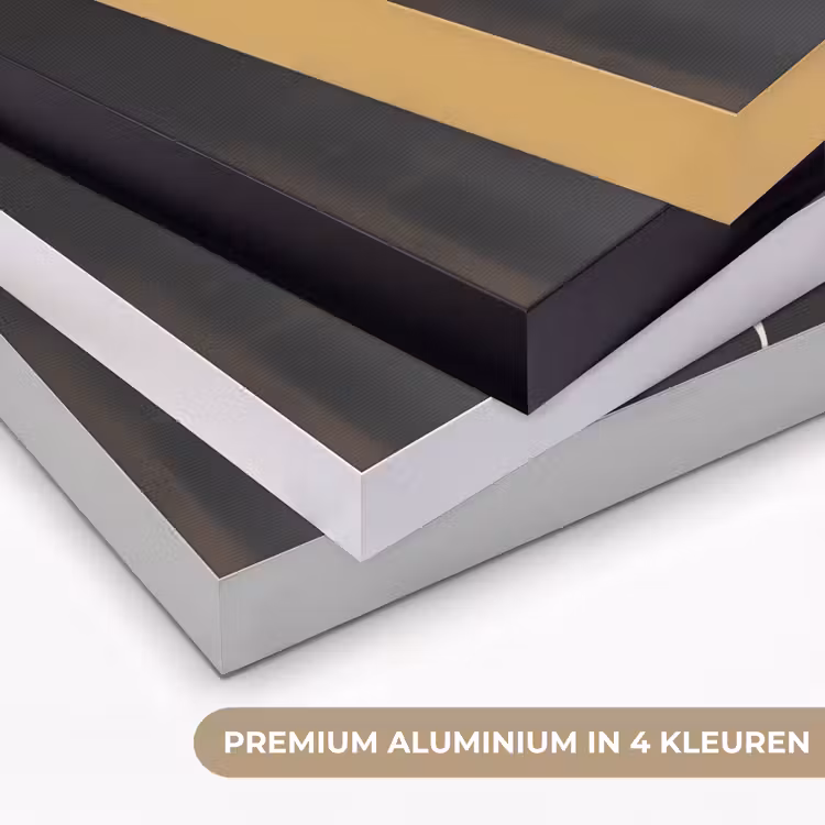 Art Frame - Blad - Wit - Minimalistisch — 2