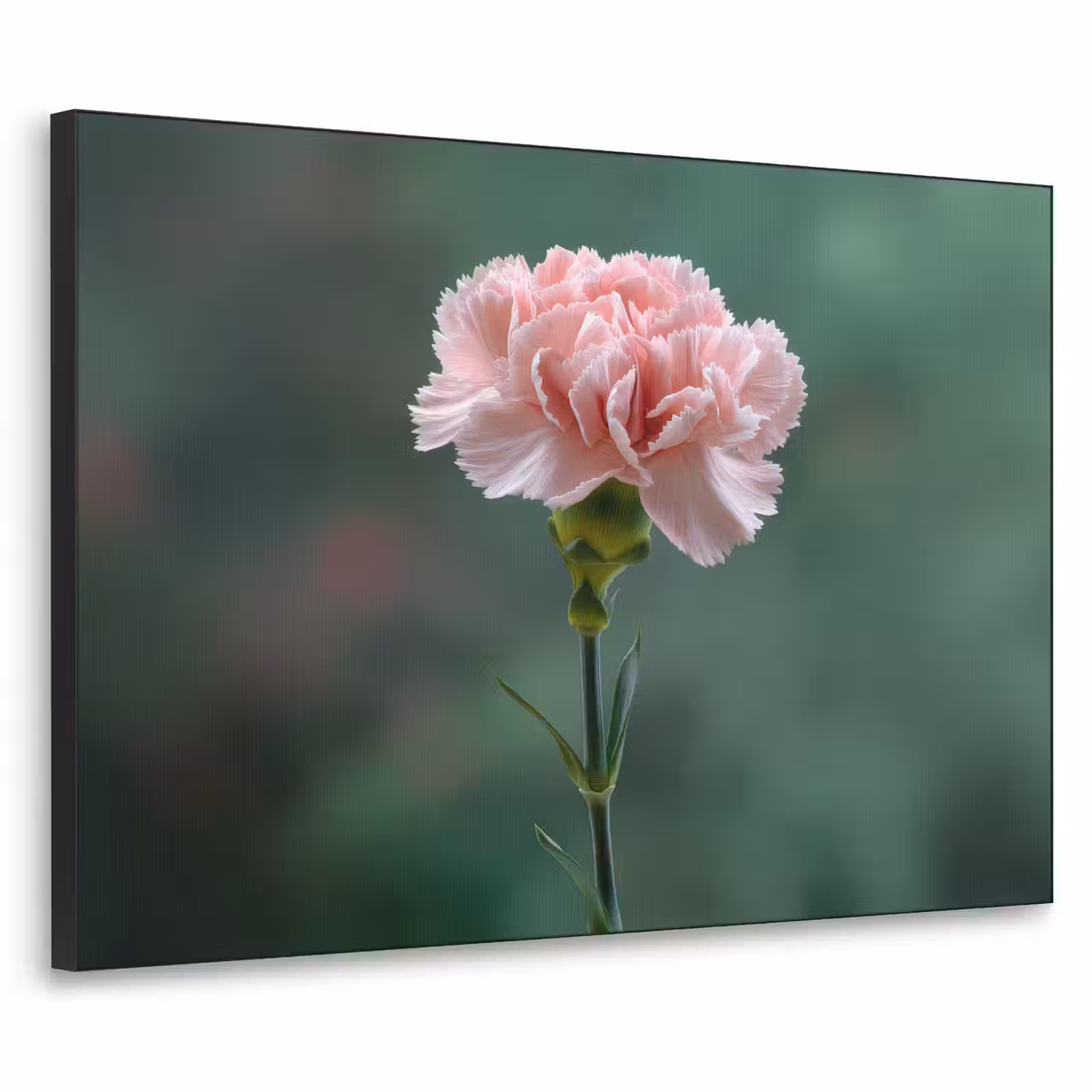 Art Frame - Anjer - Roze - Bloemblaadjes — 1