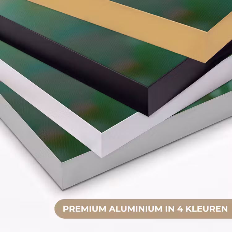 Art Frame - Aster - Paars - Bloem - Blaadjes — 2