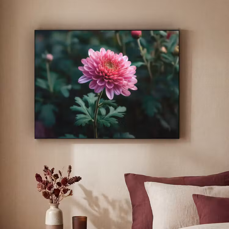 Art Frame - Blad - Chrysant - Roze - Schaduw — 3