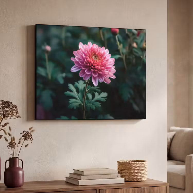 Art Frame - Blad - Chrysant - Roze - Schaduw — 7