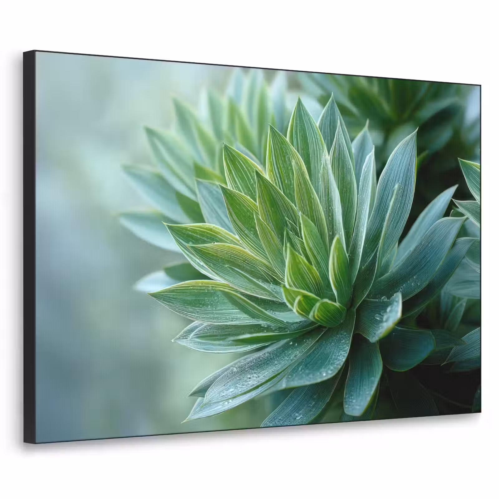 Art Frame - Blad - Plant - Groen - Textuur — 1