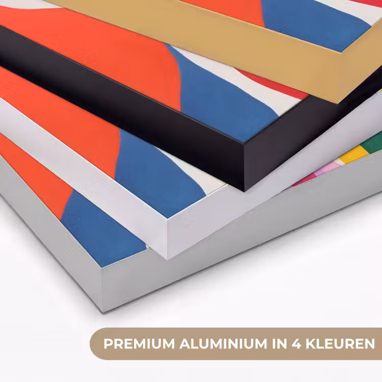 Art Frame - Abstract - Kleurrijk - Golven - Lijnen — 2