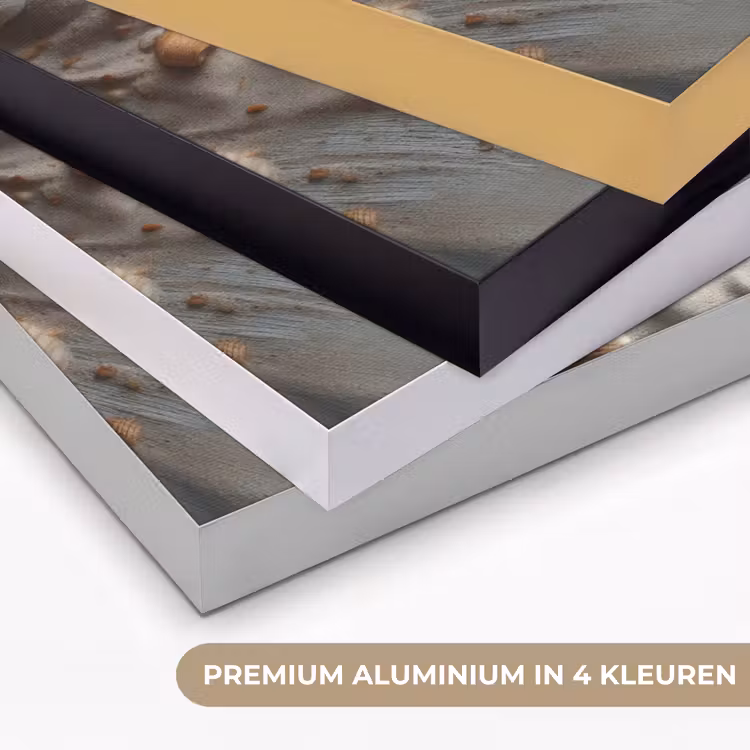 Art Frame - Anker - Hout - Schelpen - Zand — 2
