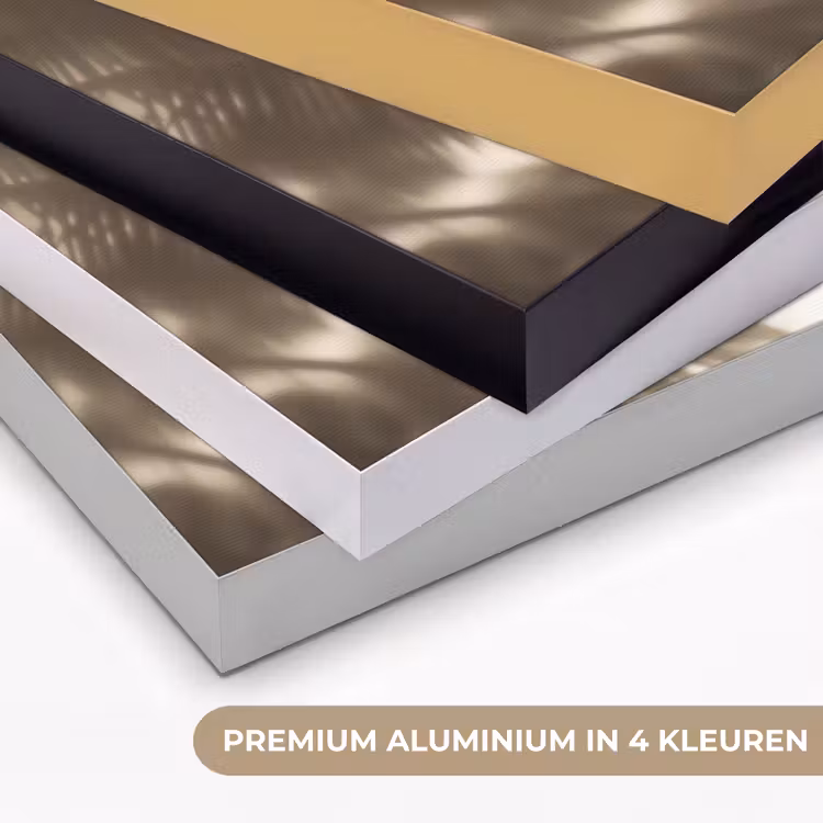 Art Frame - Badkleding - Palmbomen - Schaduw - Tropisch — 2