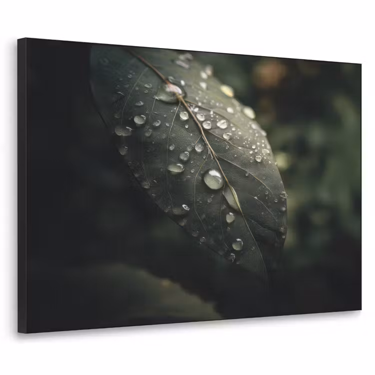 Art Frame - Blad - Groen - Nerven - Regendruppels — 1