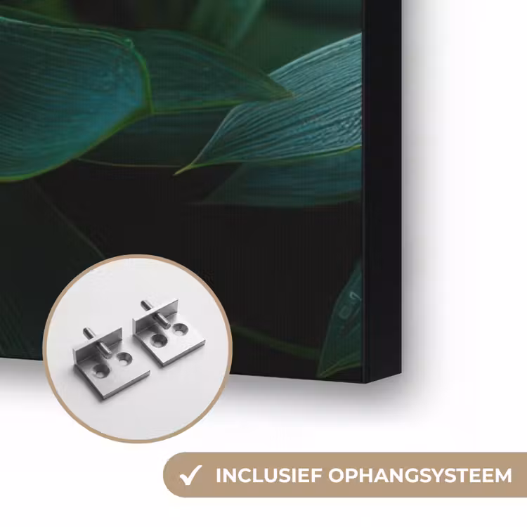 Art Frame - Blad - Plant - Groen - Textuur — 6