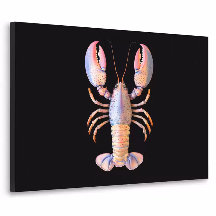 Art Frame - Kreeft - Roze - Zacht - Zwart — 1
