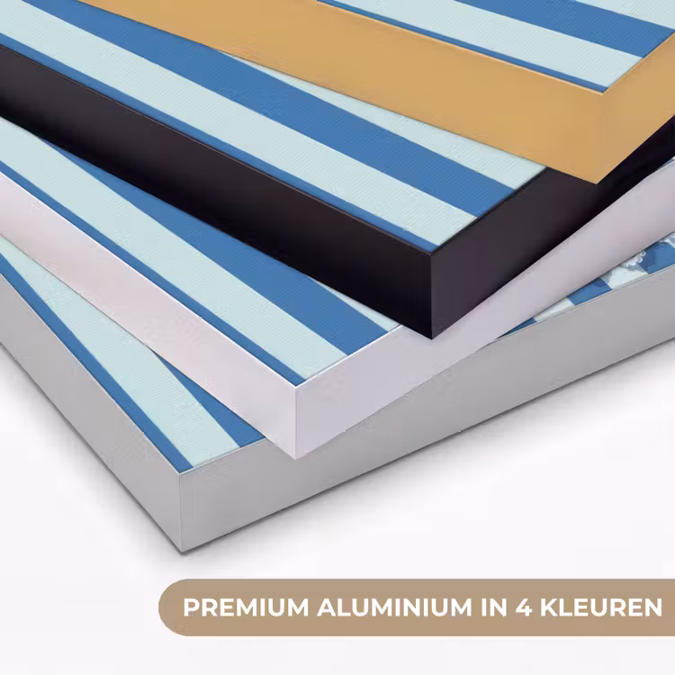 Art Frame - Illustratie - Bessen - Blauw - Strepen — 2