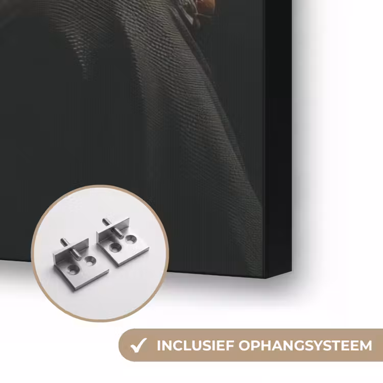 Art Frame - Kat - Pak - Oranje - Sigaar — 6