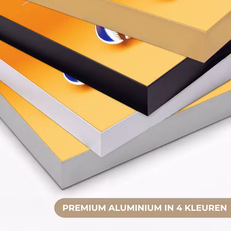 Art Frame - Kreeft - Delftsblauw - Schild - Stoer - Oranje — 2