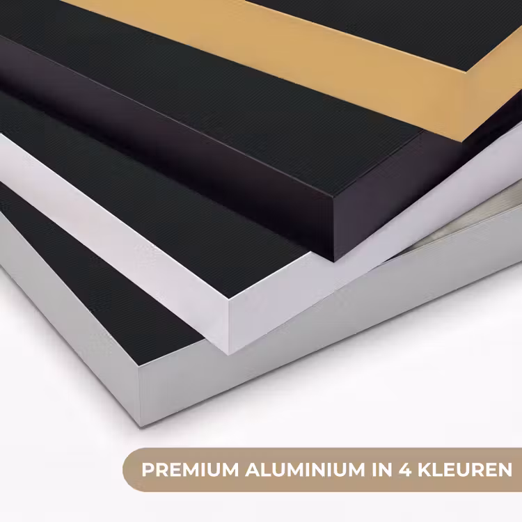 Art Frame - Dier - Kok - Stokstaartje — 2