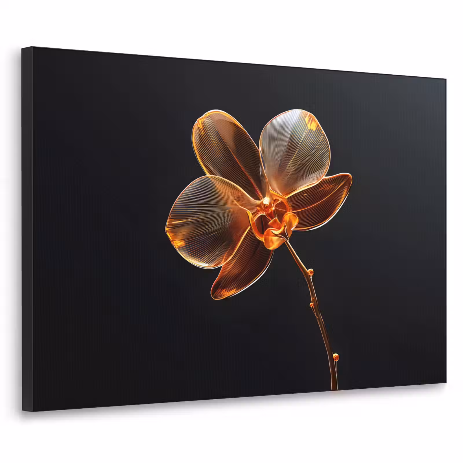 Art Frame - Orchidee - Doorzichtig - Bloem — 1