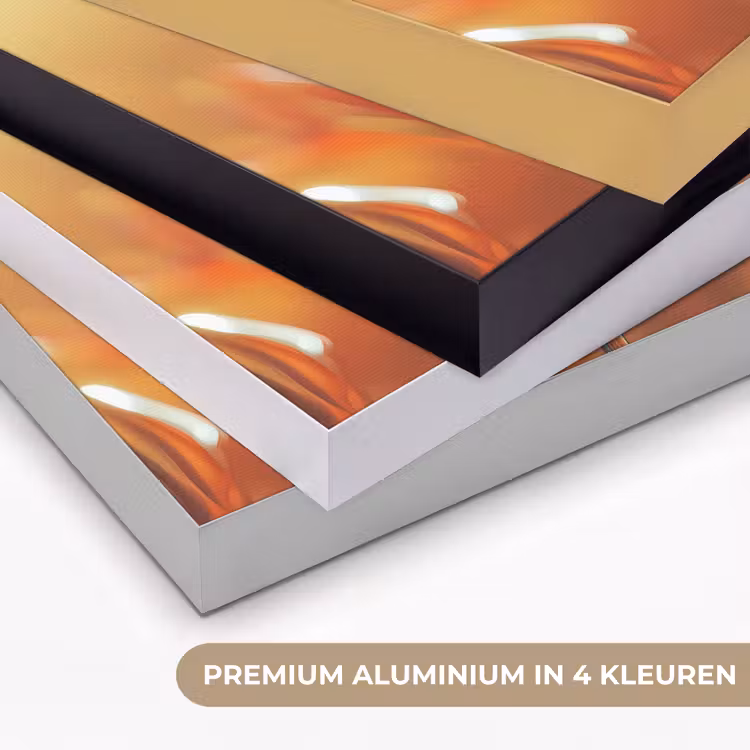 Art Frame - Glazen - Bloem - Zonlicht — 2