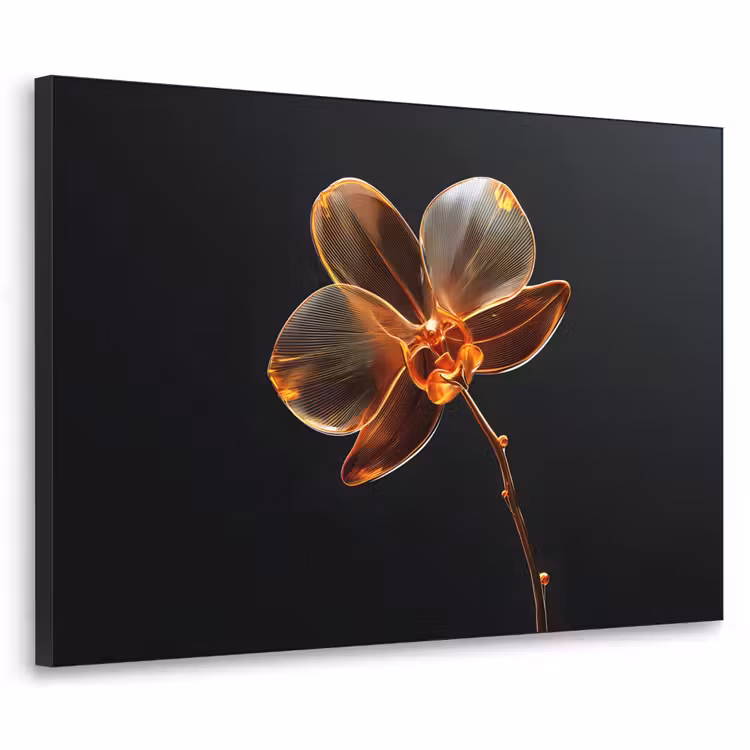 Art Frame - Orchidee - Doorzichtig - Bloem — 1