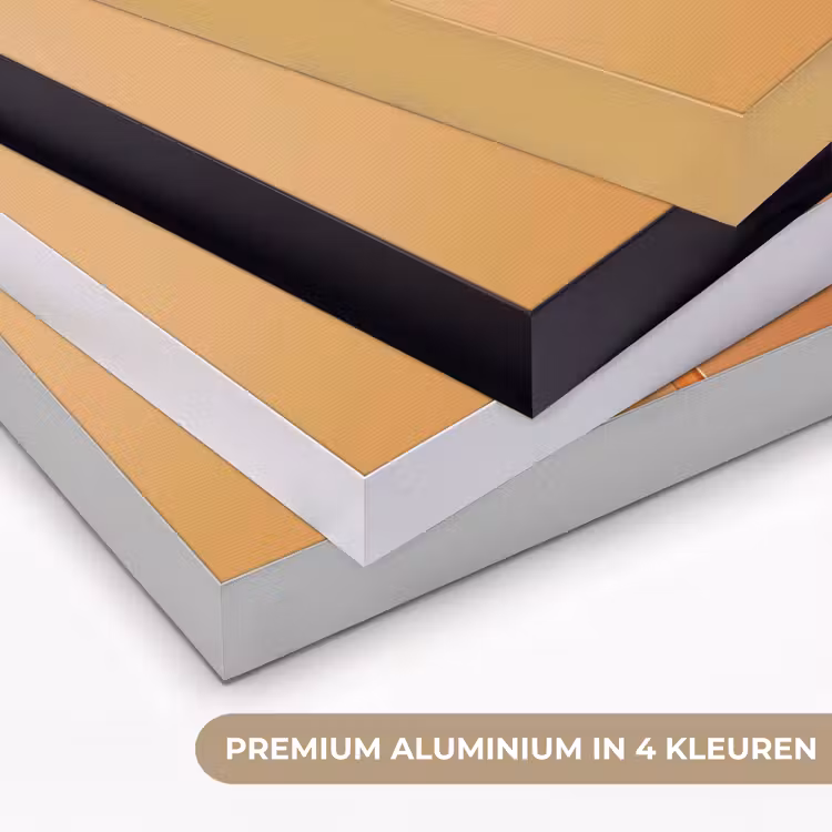 Art Frame - Glazen - Bloem - Oranje — 2