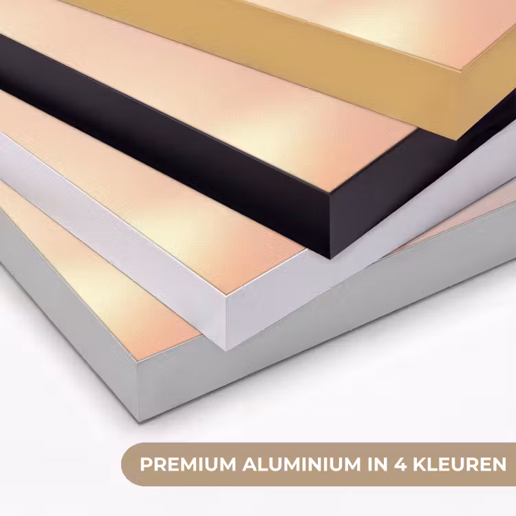 Art Frame - Glazen - Bloem - Roze — 2
