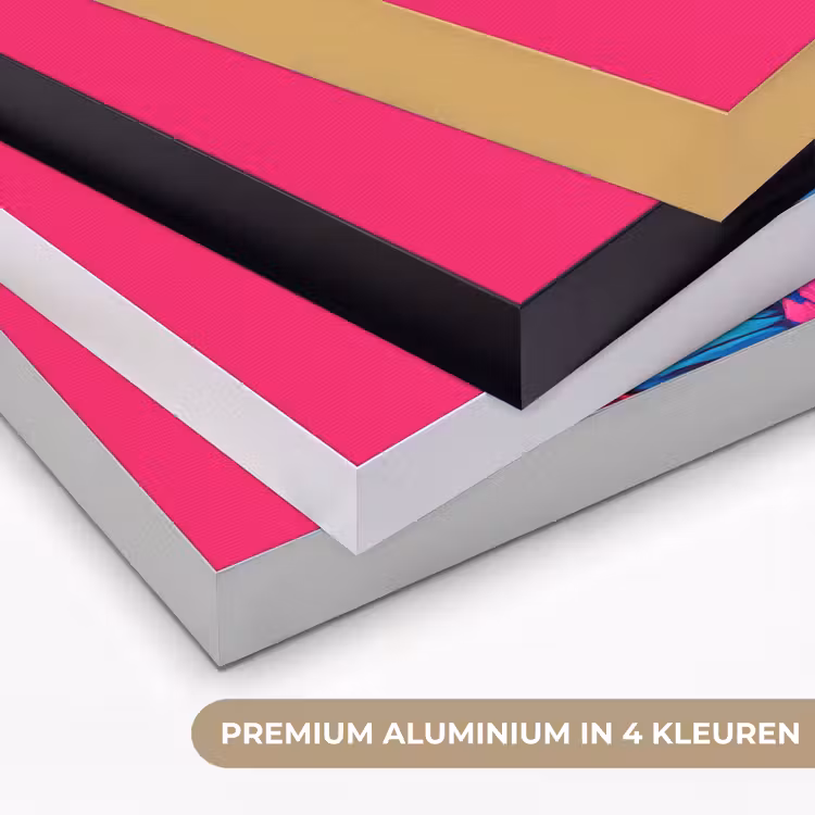 Art Frame - Haan - Kleurrijk - Kimono - Roze — 2