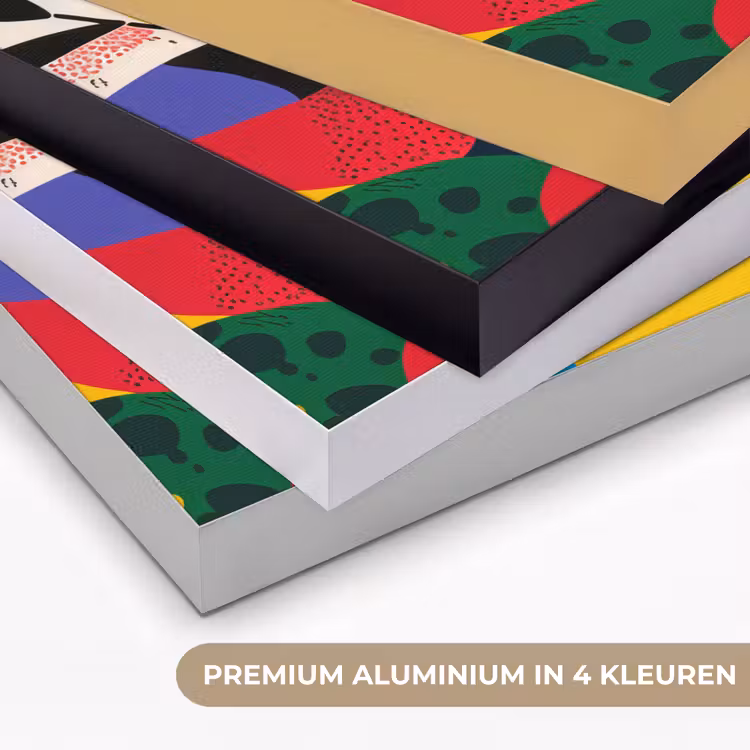 Art Frame - Vormen - Stippen - Kleurrijk — 2
