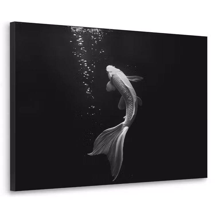Art Frame - Koi - Vis - Wit - Zwart — 1