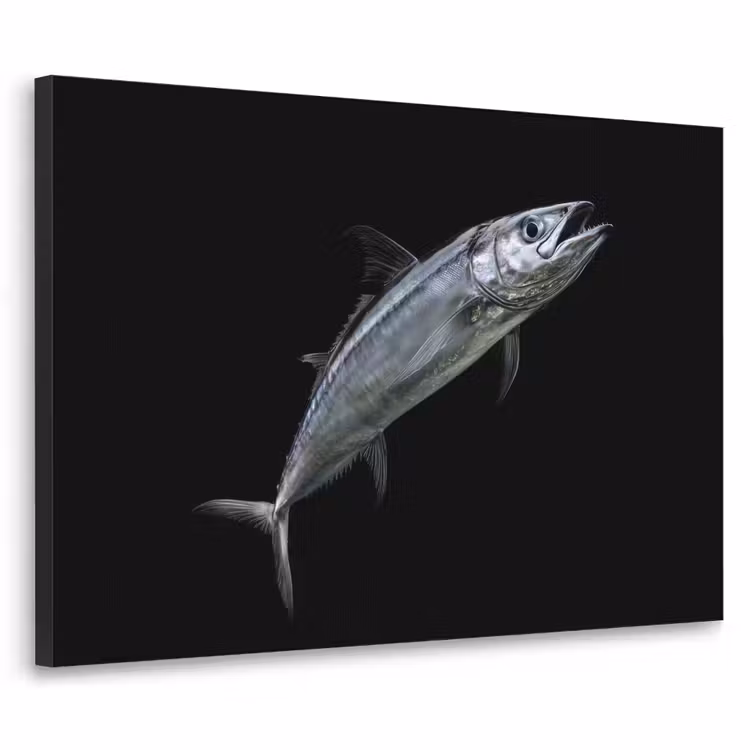 Art Frame - Makreel - Vis - Zwart — 1