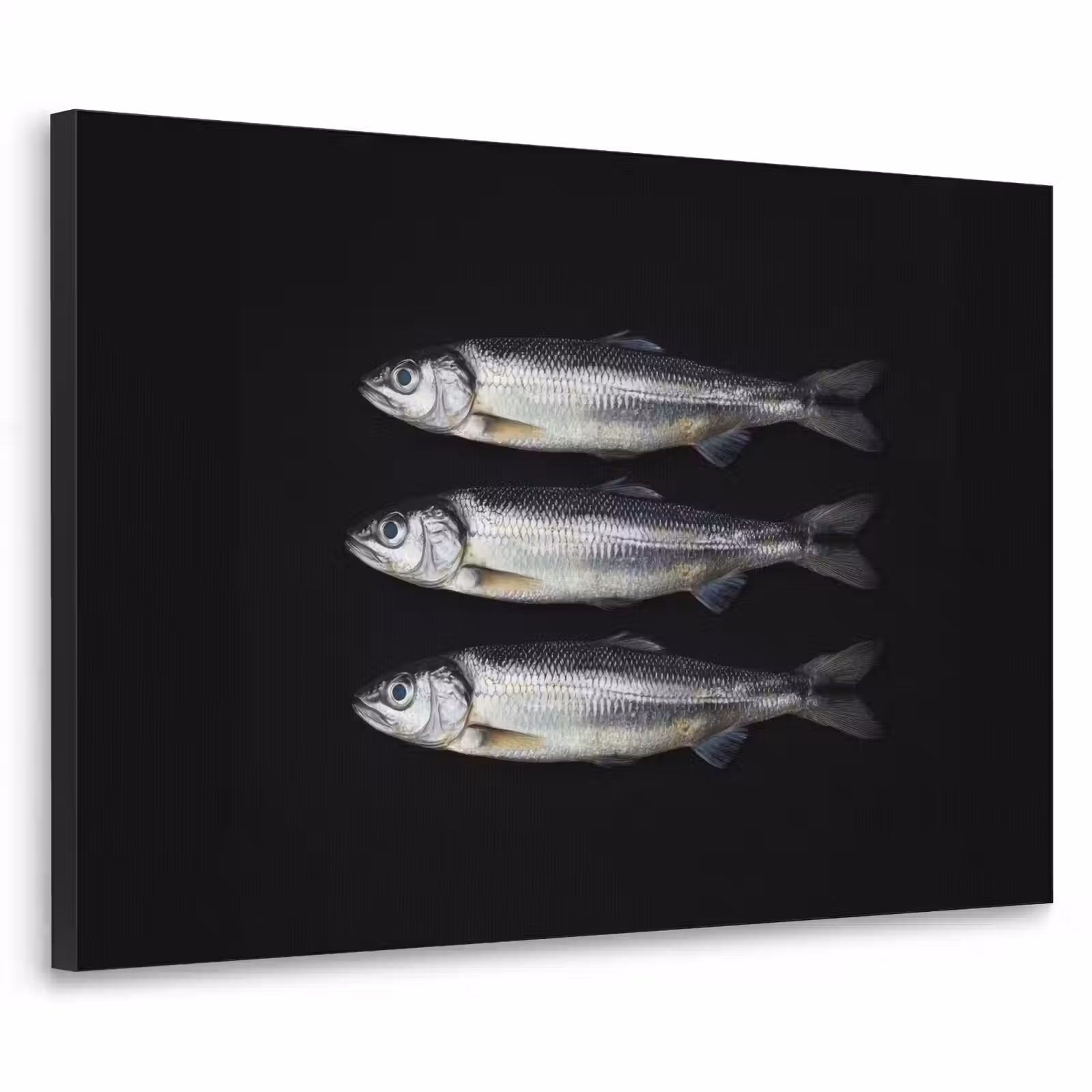 Art Frame - Haring - Vissen - Zwart — 1