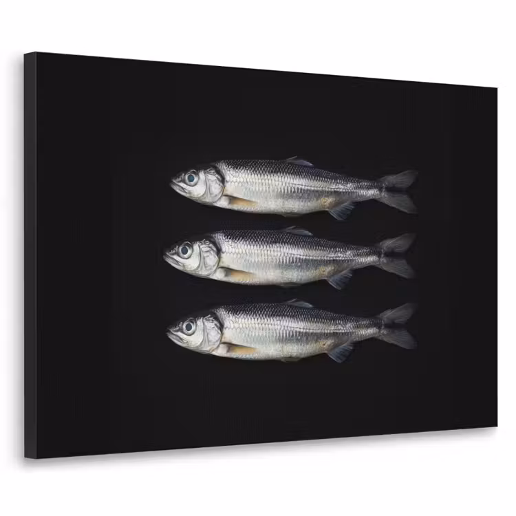 Art Frame - Haring - Vissen - Zwart — 1
