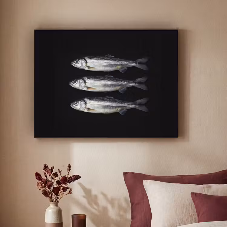 Art Frame - Haring - Vissen - Zwart — 3