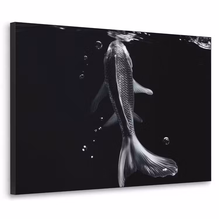 Art Frame - Koi - Vissen - Water - Zwart — 1