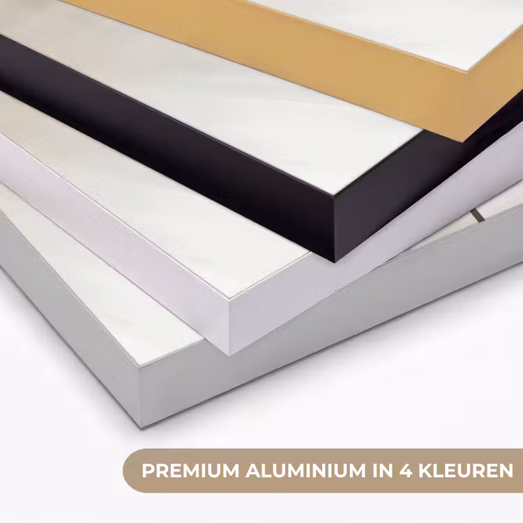 Art Frame - Bloem - Beige - Verf - Schaduw — 2