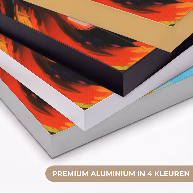Art Frame - Vrouw - Gezicht - Kleurrijk — 2