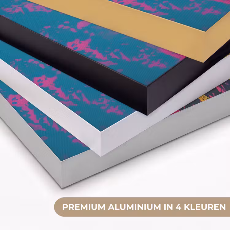 Art Frame - Vrouw - Kauwgom - Zonnebril - Oranje — 2