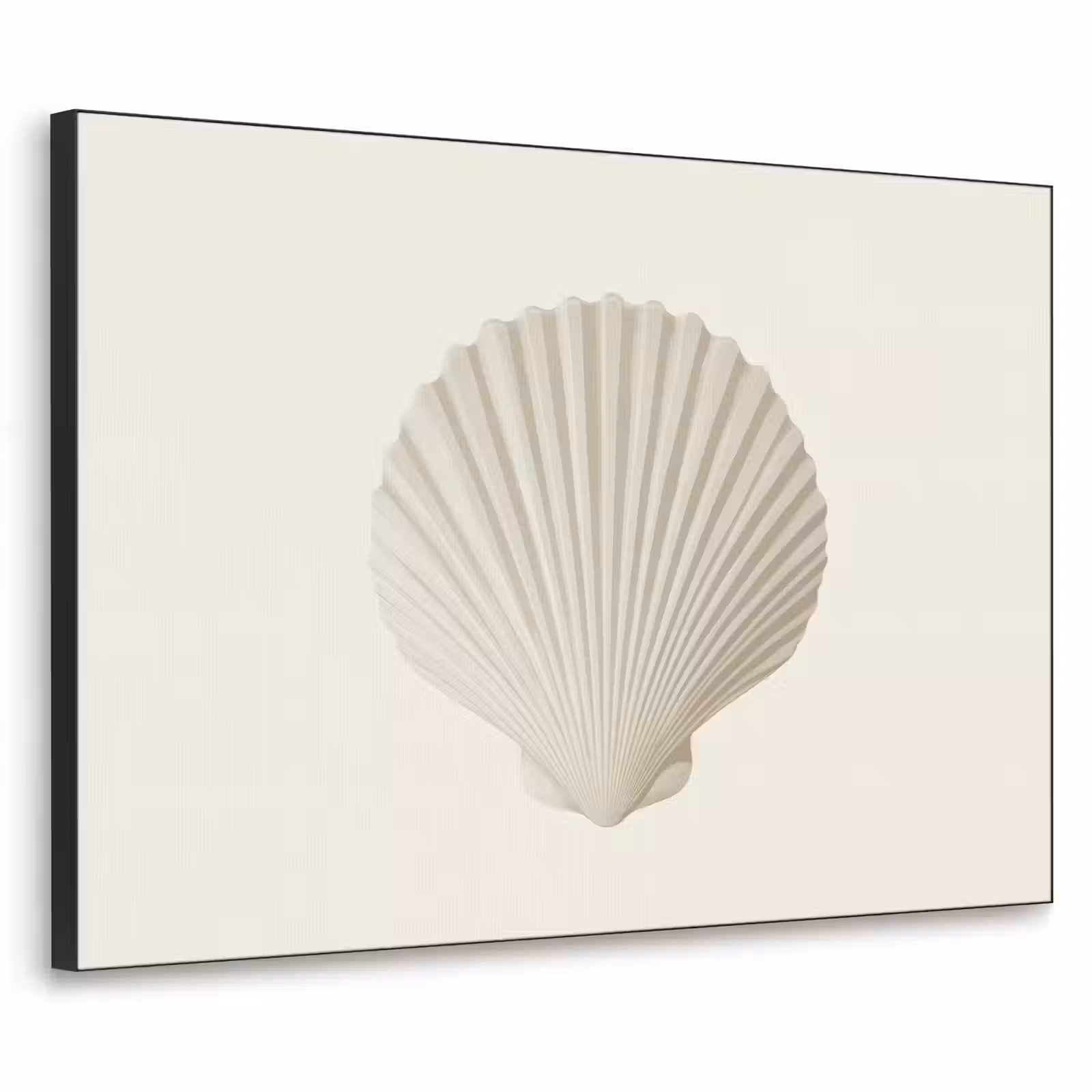 Art Frame - Schelp - Minimalistisch - Wit — 1