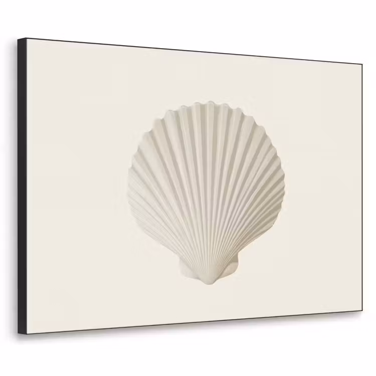 Art Frame - Schelp - Minimalistisch - Wit — 1