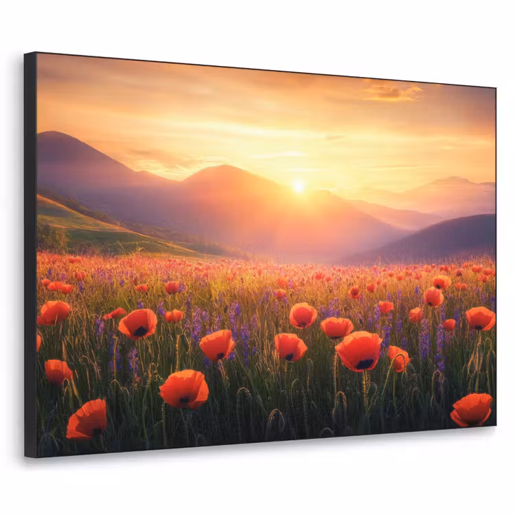 Art Frame - Landschap - Zonsondergang - Bloemenveld — 1