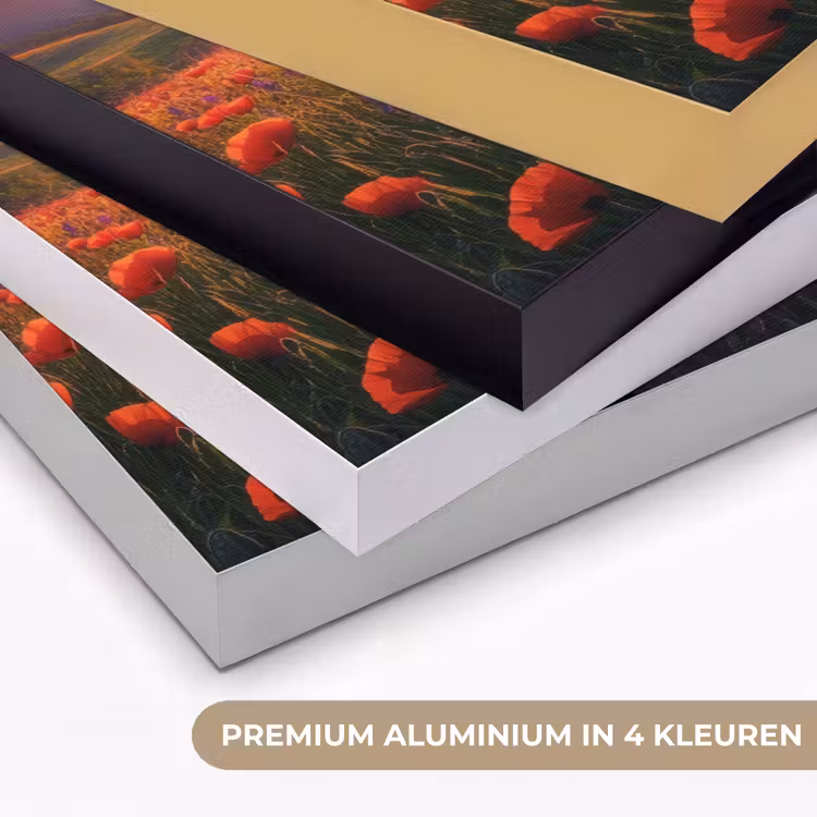 Art Frame - Landschap - Zonsondergang - Bloemenveld — 2