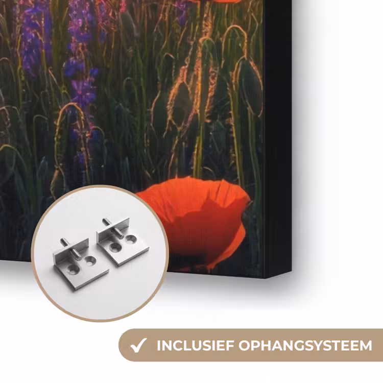 Art Frame - Landschap - Zonsondergang - Bloemenveld — 6