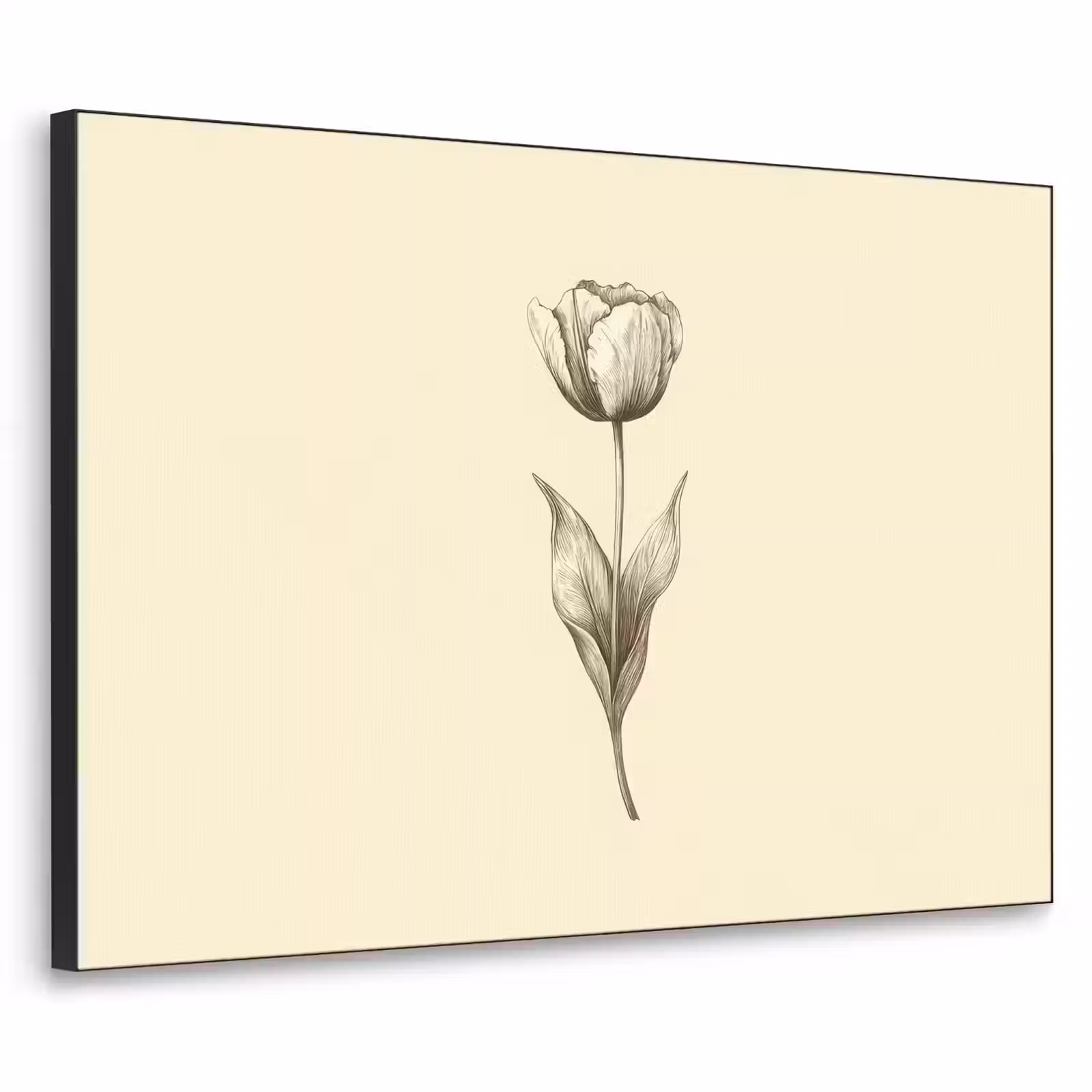 Art Frame - Illustratie - Tulp - Zwart — 1