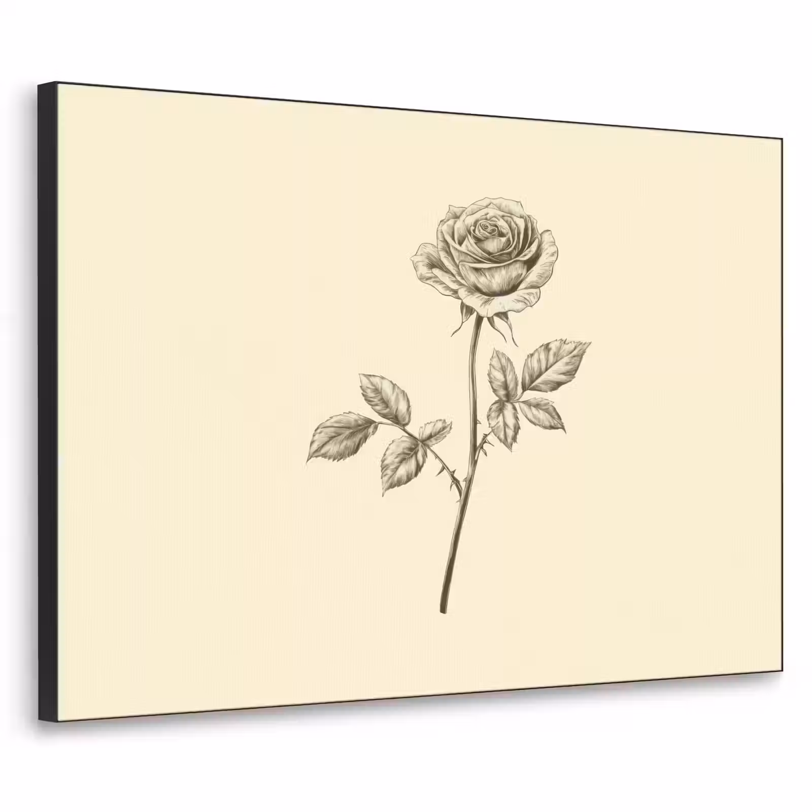 Art Frame - Illustratie - Zwart - Roos — 1